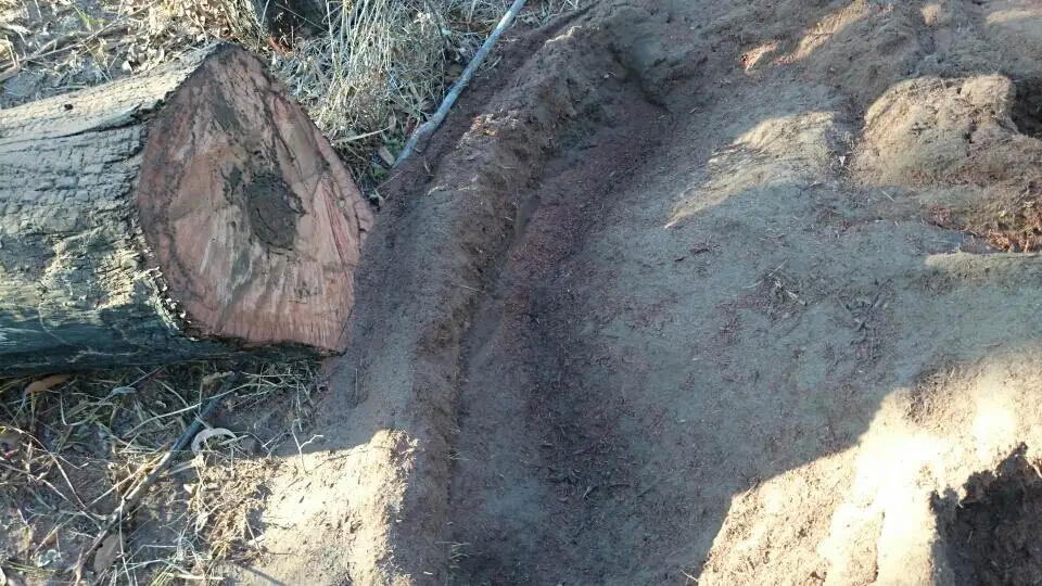 White Ant Stump - after Stump Grinding - Gympie Stump Grinding