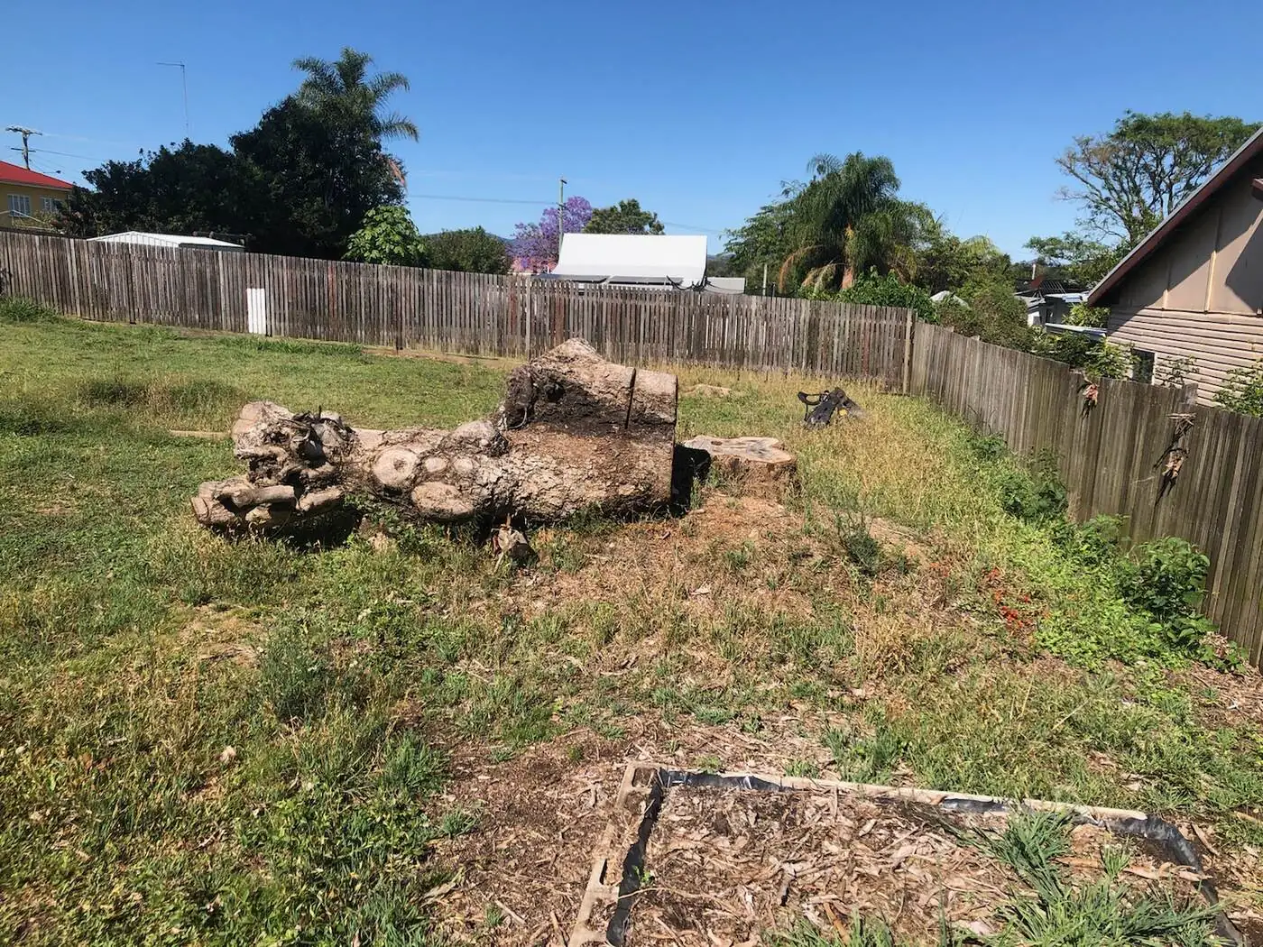 Stump grinding - Gympie Stump Grinding