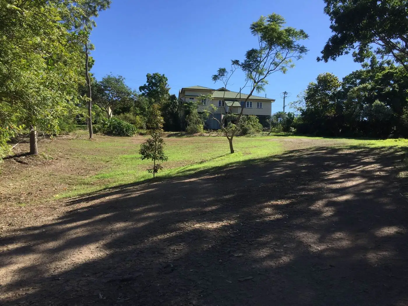 Bamboo stumps – after - Gympie Stump Grinding