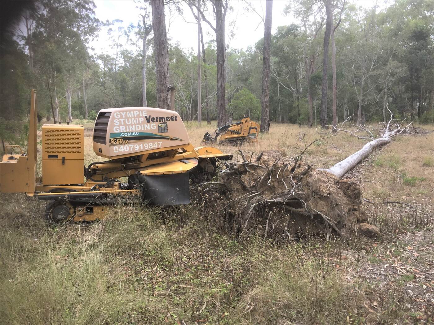 FIREWOOD STUMP 1 - Gympie Stump Grinding