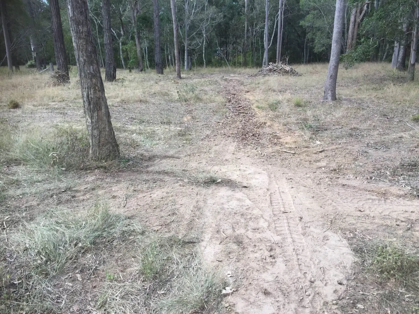 Firewood stump – after - Gympie Stump Grinding
