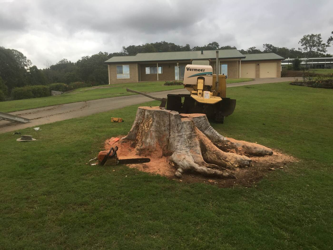 PIE CREEK – before - Gympie Stump Grinding