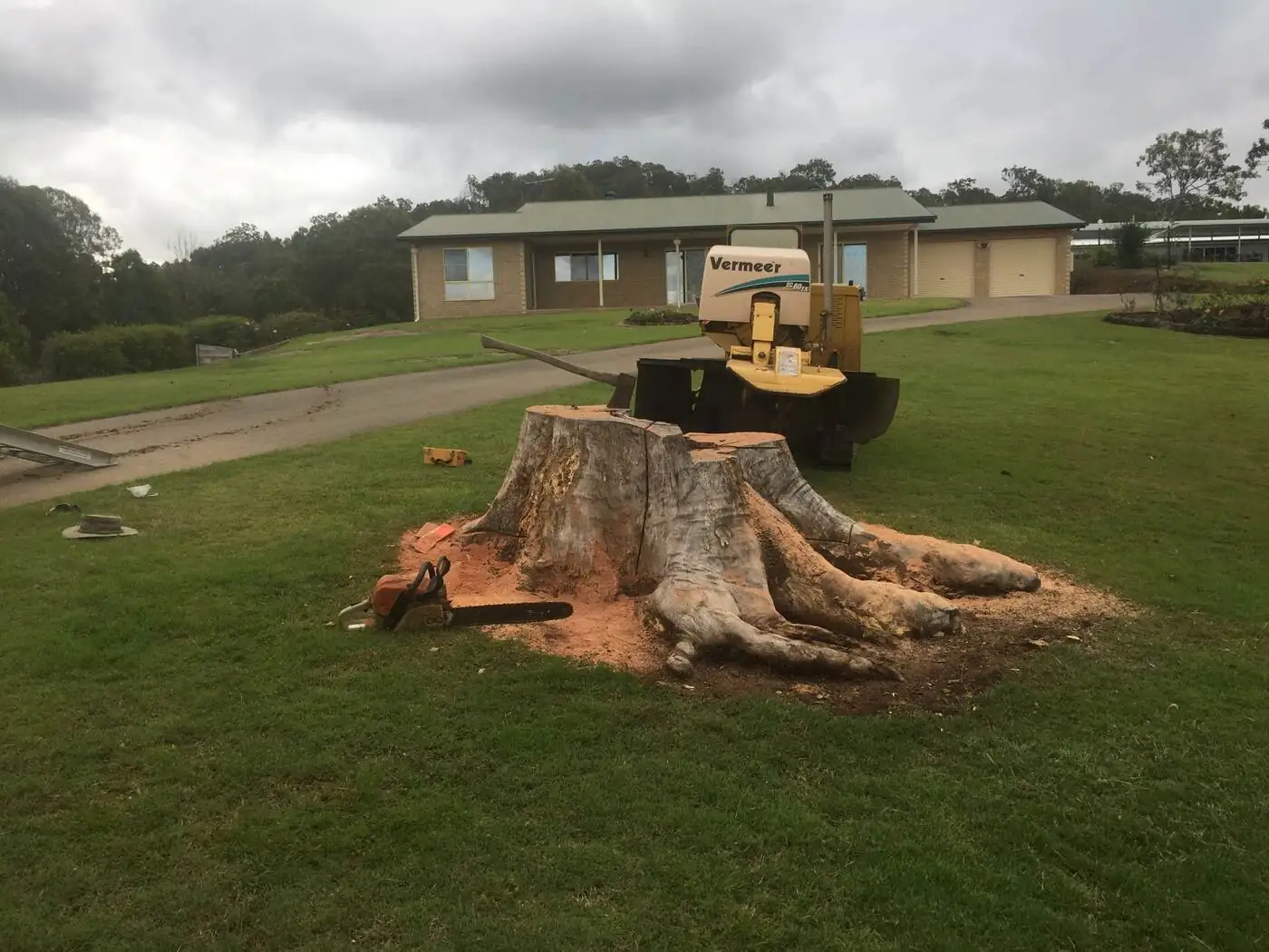 Before: large stump in place at Pie Creek
