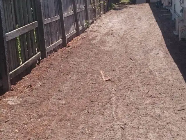 Ground out and levelled for a veggie patch – after - Gympie Stump Grinding