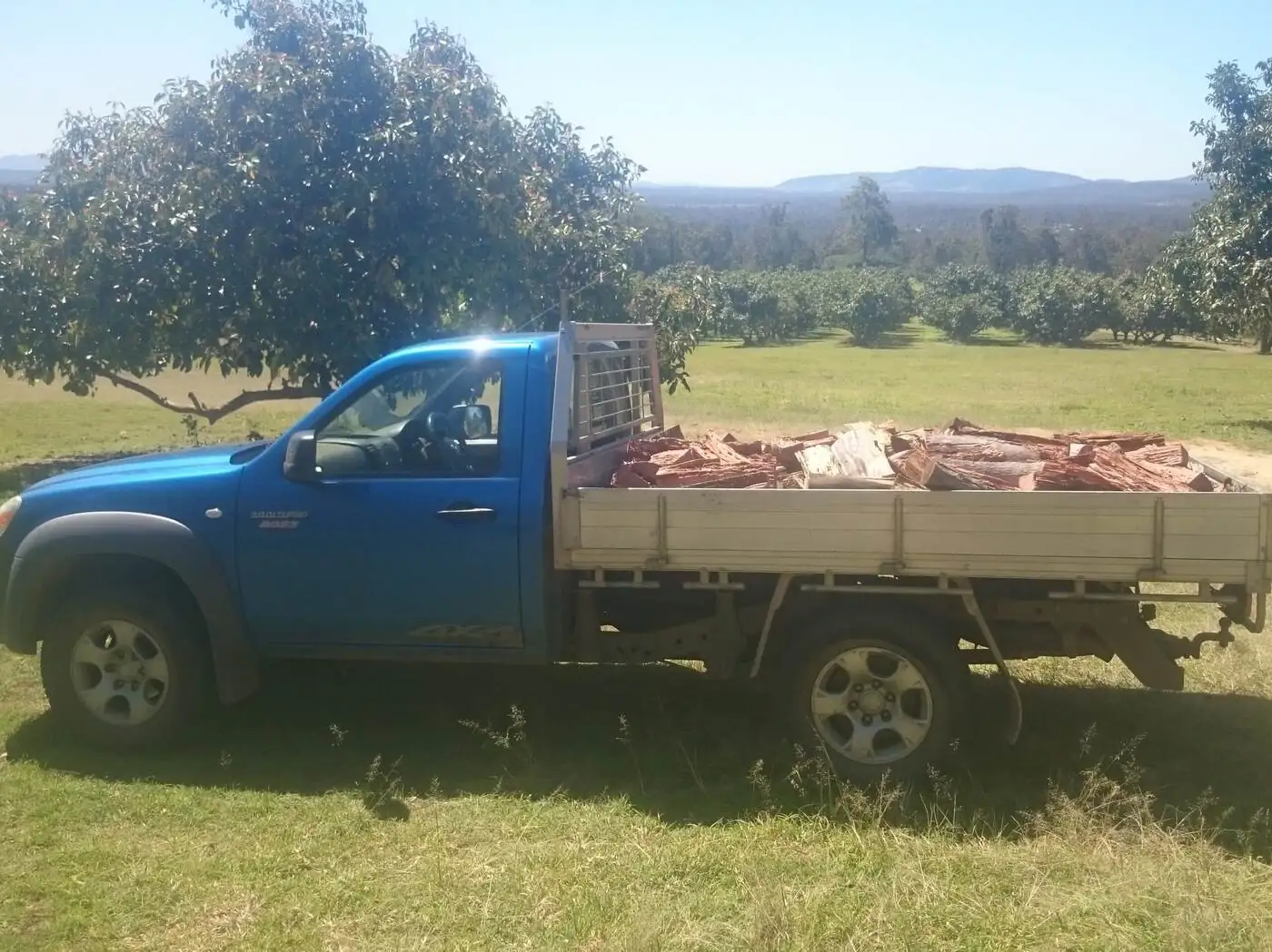 Ute load of Firewood - Gympie Stump Grinding