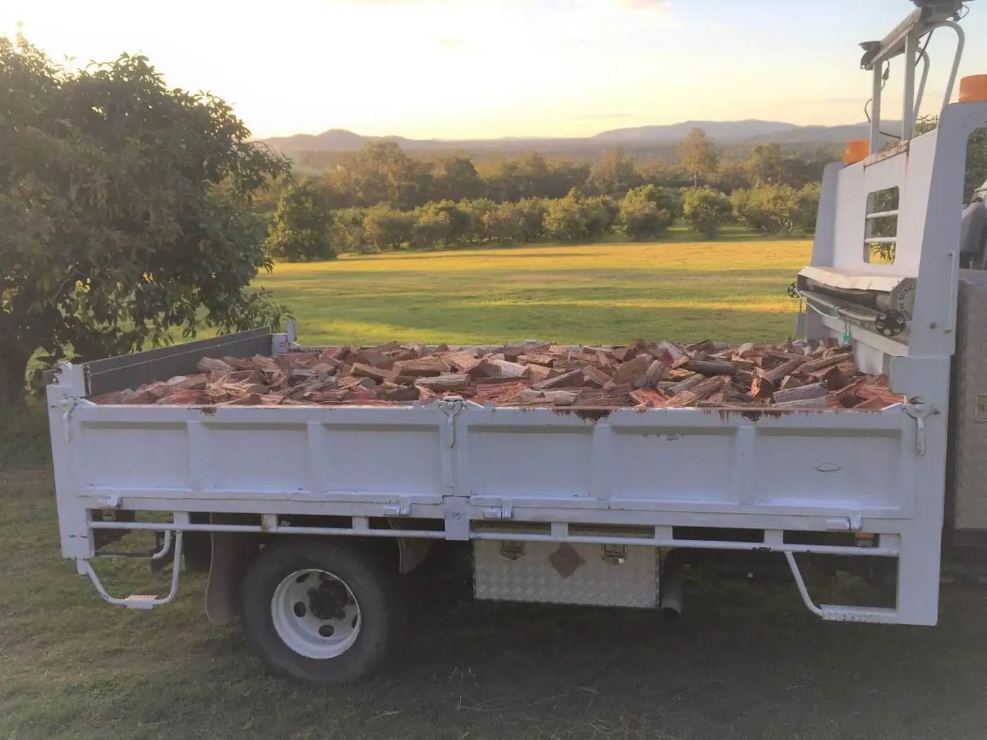 Firewood - Gympie Stump Grinding