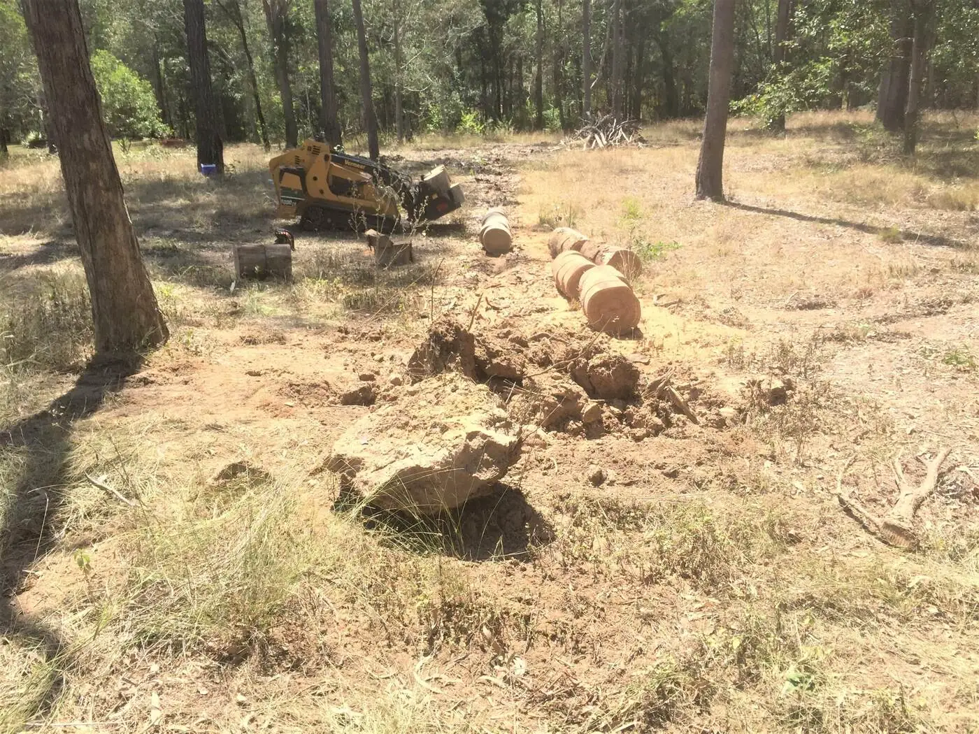 Firewood cut from fallen tree - Gympie Stump Grinding