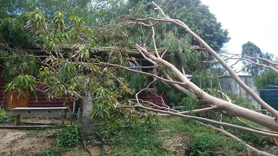 Storm Damage - Gympie Stump Grinding