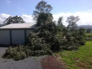 25 metre Ghost Gum Tree on shed from December 2014 Storms - Gympie Stump Grinding