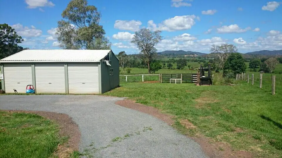 Tree Removed and Stump Ground out removing dangerous Roots - Gympie Stump Grinding